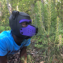 pocketpupkouya avatar