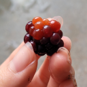 poet-next-door avatar