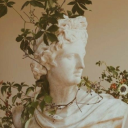 poetryofapollo avatar