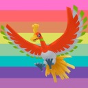 pokegays-discord avatar