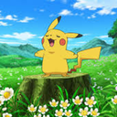 pokemonandflowers avatar