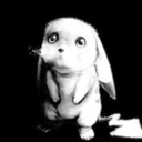 pokemoninblackandwhite avatar