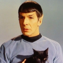 polarbearcult avatar