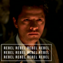 polite-rebel-castiel avatar