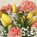 polkadotgnome avatar