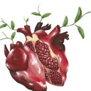 pomegranatememoirs avatar