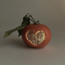 pomegranatesandtangerines avatar