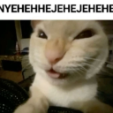 pomelohpt121212 avatar