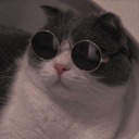 popcorn-and-movies avatar