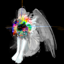 poppet-siphonophore avatar