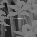 popsicles-and-gelato avatar