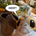 porgsandpops avatar