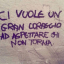 portamilontanodiqui avatar