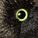 posicmartinblackwood avatar