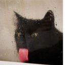 possesedperson avatar