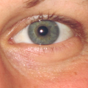 possoanchevolare avatar