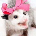 possumrightsbabey avatar