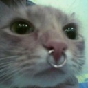 postnutclaritys avatar