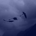 potato-for-the-venomous-vorpents avatar