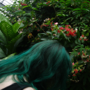 potatoremover avatar