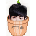 potted-yeol avatar