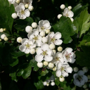 potterandpreferences avatar