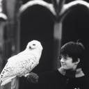 potterheadsarehawt avatar