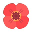 poundin-poppies avatar