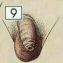 pphallicstuff avatar