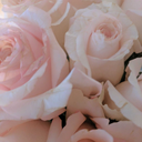 praisingthetheoi avatar