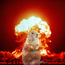 prariedogs avatar
