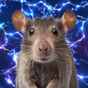 preciousbabyrat avatar