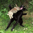 preference-yes avatar