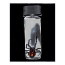 preserved-spider avatar