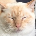 pretty--bitch avatar