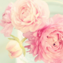 pretty-delicious-blog avatar