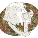 pretty-odd-skeleton avatar