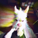 pretty-princess17 avatar