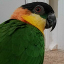 pretty-trashcan-things avatar