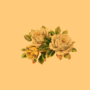 prettypeachbabyy avatar