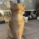 pricklessubway avatar