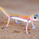 pridefulpurpman avatar