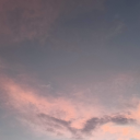 princeedwivedi avatar