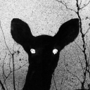 princelysnape avatar