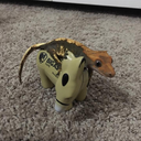 princeofgecks avatar