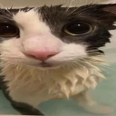 princeofprincipalities avatar