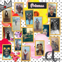 princess-nettey-blog avatar