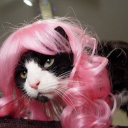 princesskittypaws avatar