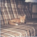 princessleprechaunnn avatar