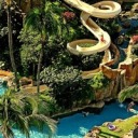 princessmoanna avatar